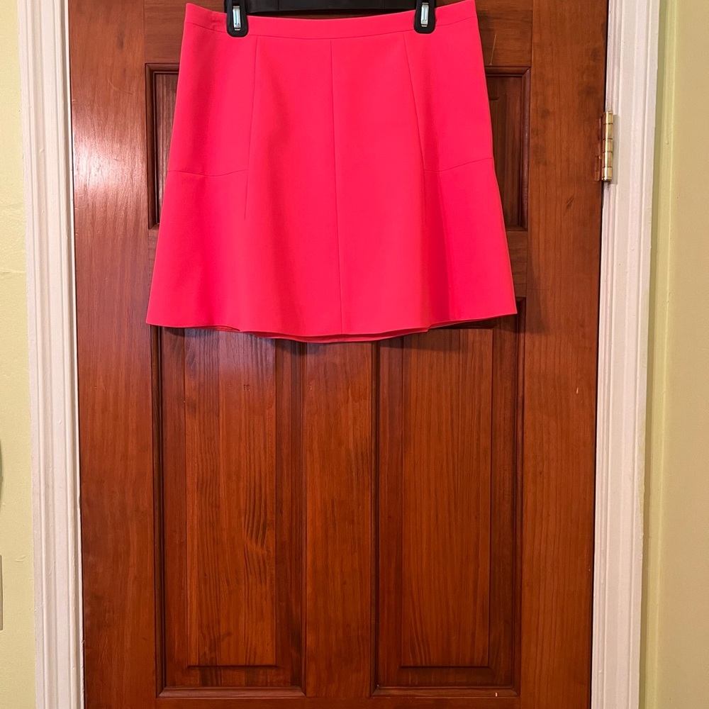 J. Crew Skirt